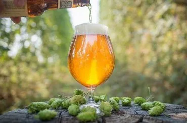Cerveza IPA