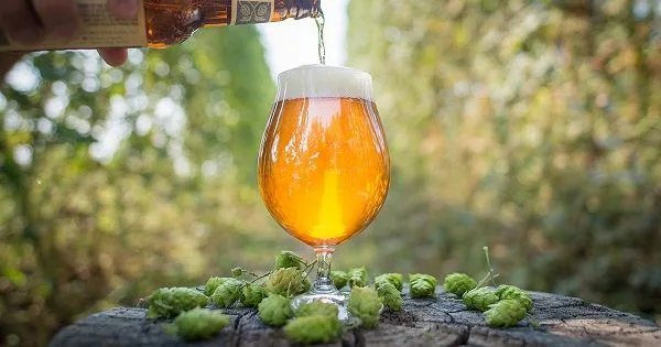 Cerveza IPA
