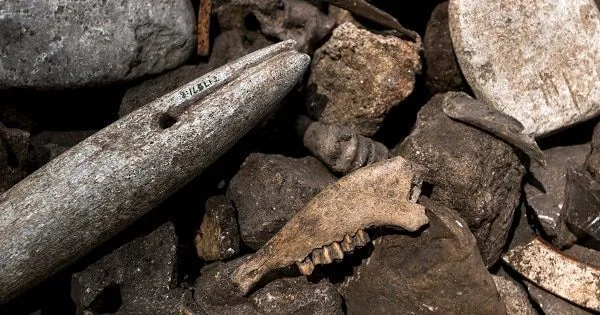 La cerveza vikinga elaborada con piedras calientes