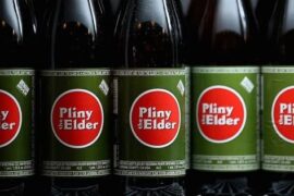 Pliny the Elder