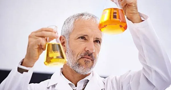 Levaduras y bacterias utilizadas en cervezas sour