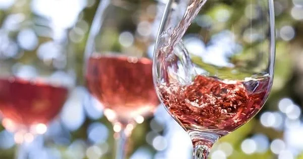 Vino rosé