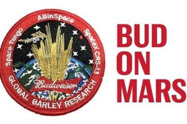Bud on Mars