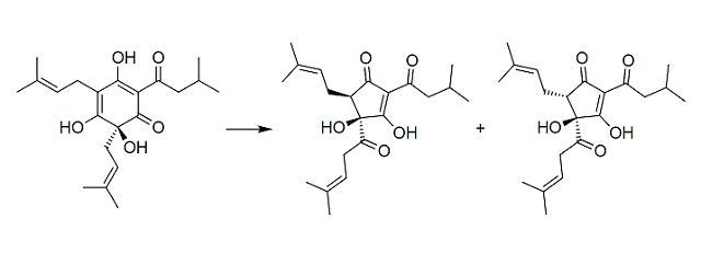 Isomerizacion del lúpulo
