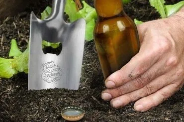 Cerveza en la jardineria