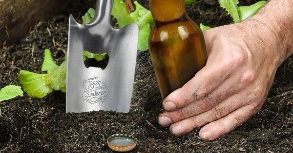Cerveza en la jardineria