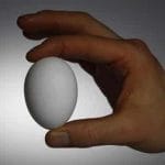 mano sosteniendo un huevo