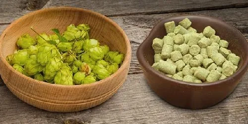 Lúpulo entero vs lúpulo en pellet Lupulo entero vs lupulo pellet