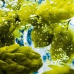 ¿Qué es el First Wort Hopping?