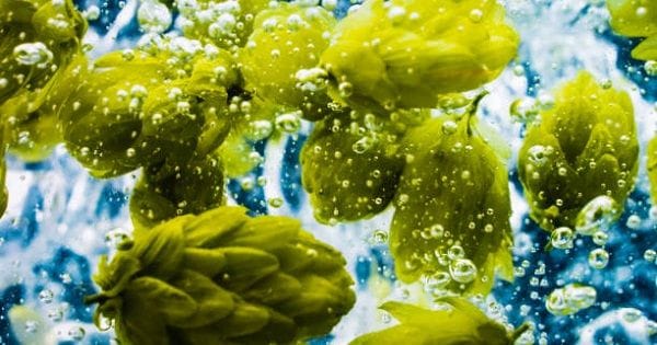 ¿Qué es el First Wort Hopping? ¿Qué es el First Wort Hopping?