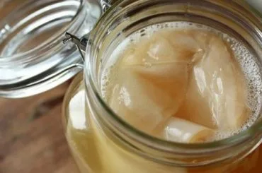 Cultivo de Kombucha