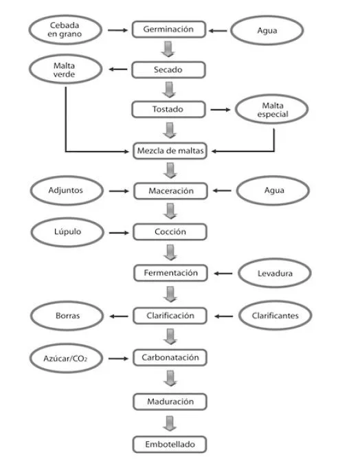 Pasos para hacer cerveza artesanal Pasos para hacer cerveza artesanal