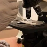 Microscopio cerveza
