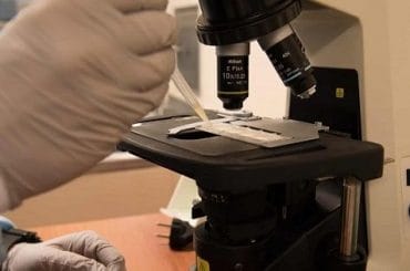 Microscopio cerveza