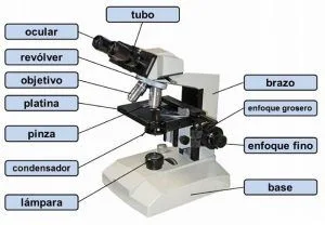 Partes de un microscopio