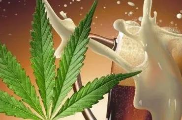 Cerveza infusionada cannabis