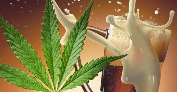 Cerveza infusionada cannabis