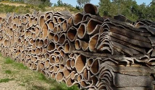 Corteza de alcornoque para corchos