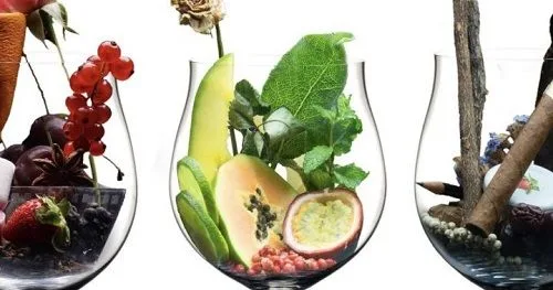 Familias aromáticas