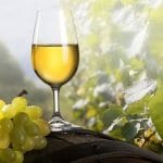 Vino blanco