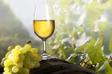 Vino blanco