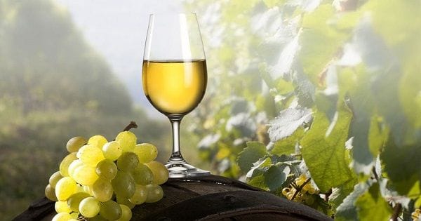 Vino blanco