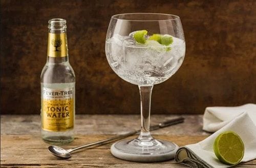 Gin Tonic Gin Tonic