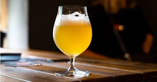 Diferencias entre cervezas Session, Seasonal y Saison