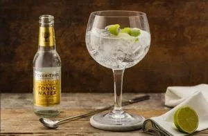 Cóctel Gin Tonic Cóctel Gin Tonic