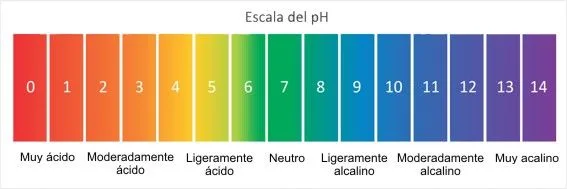 Escala pH Escala pH