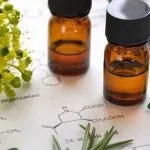 Terpenos