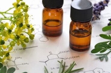 Terpenos