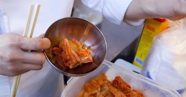 Alimentos Fermentados