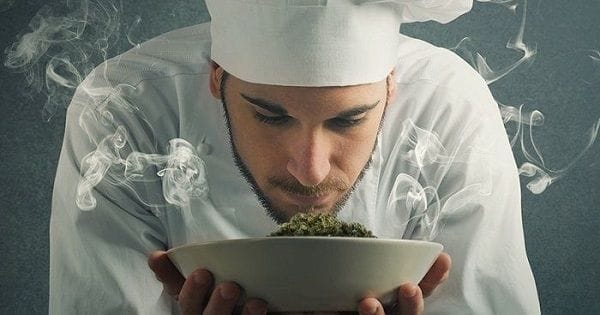 Lanzamiento del libro "Guía Básica Para Catar Marihuana" Lanzamiento del libro "Guía Básica Para Catar Marihuana"