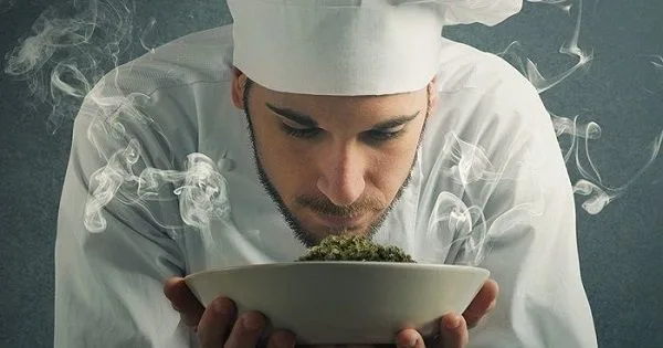 Lanzamiento del libro "Guía Básica Para Catar Marihuana"