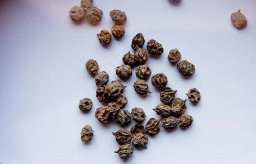 Semillas de vilipa Semillas de vilipa