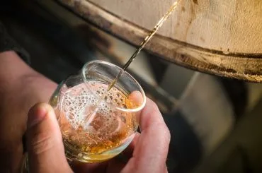 Cervezas sour y de fermentación mixta