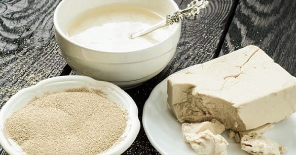 Levaduras para elaborar pan