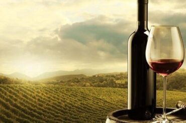Vino chileno