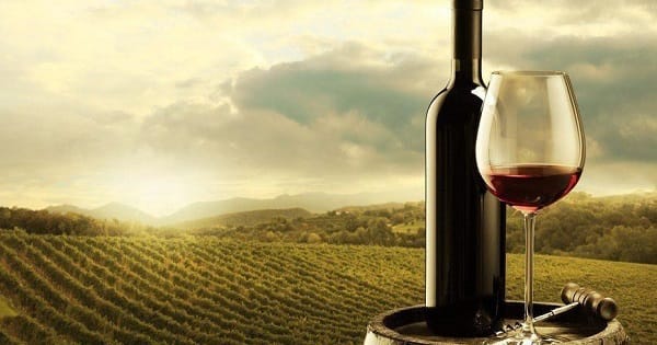 5 razones porqué el vino chileno es considerado uno de los mejores del mundo 5 razones porqué el vino chileno es considerado uno de los mejores del mundo