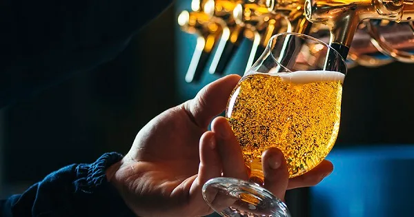 ¿Qué es la fermentación de cerveza? ¿Qué es la fermentación de cerveza?
