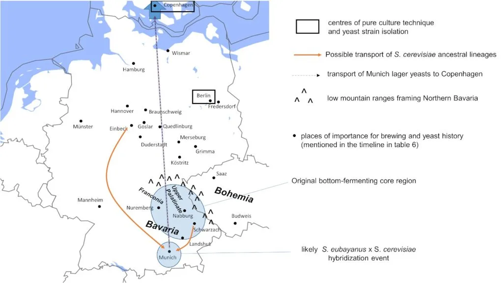 Mapa orígenes levadura lager Mapa orígenes levadura lager