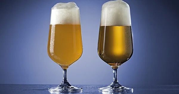Floculación de levadura y clarificación de cerveza Floculación de levadura y clarificación de cerveza
