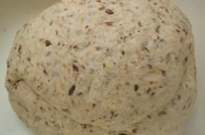 Masa pan bagazo Masa pan bagazo