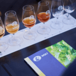 WSET Certiciación en cerveza