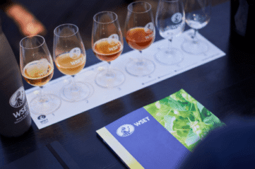 WSET Certiciación en cerveza