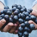 Día Internacional del Carmenere