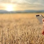 Blockchain industria alimentos