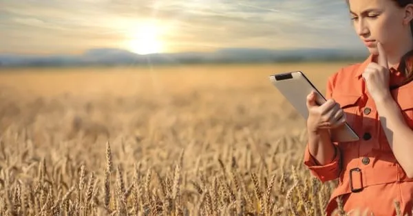 Blockchain industria alimentos