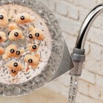 Levadura para filtrar agua